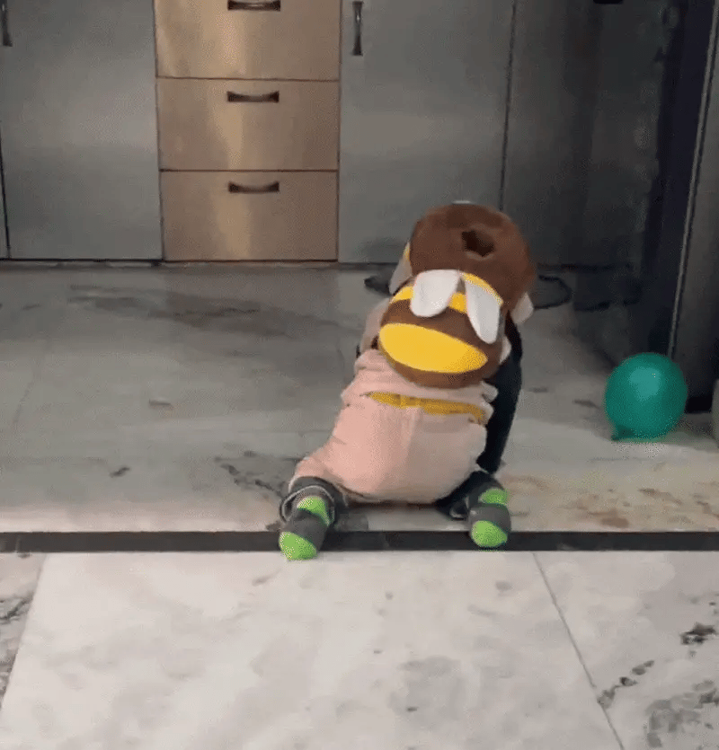 Bebelya™ Bebek Baş Koruma Yastığı